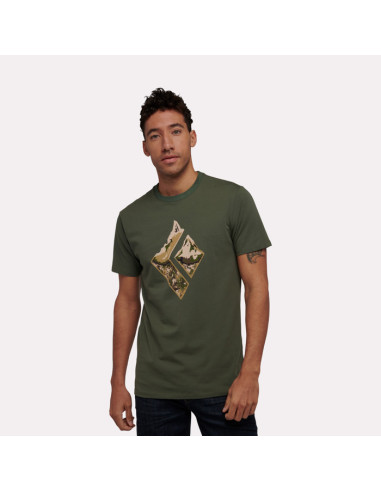 BD Mountain Logo SS T-paita