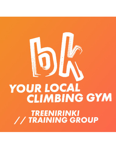 Treenirinki kertalippu