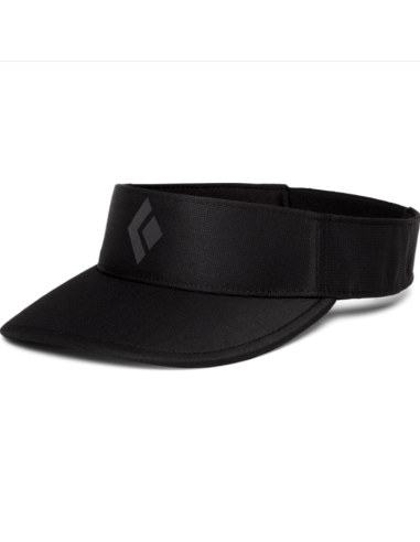Dash Visor