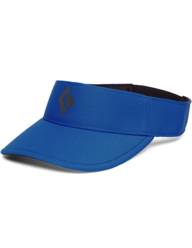 Dash Visor