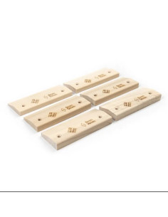 Lattice Micros