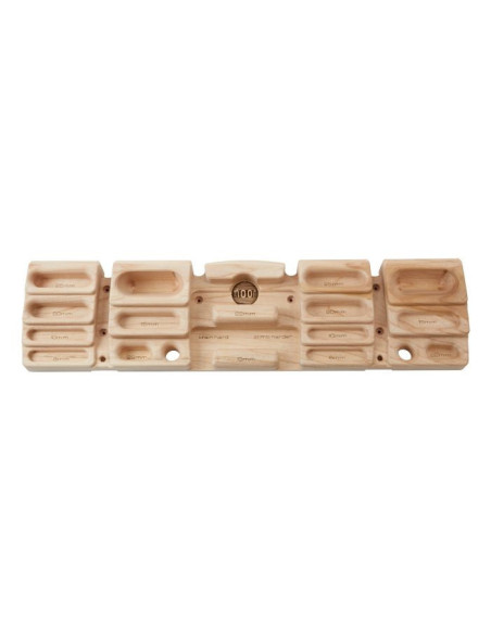 Moon Armstrong hangboard